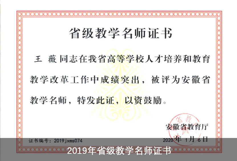 2019年省级教学名师证书