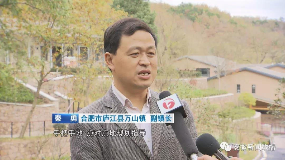合肥市庐江县万山镇副镇长秦勇