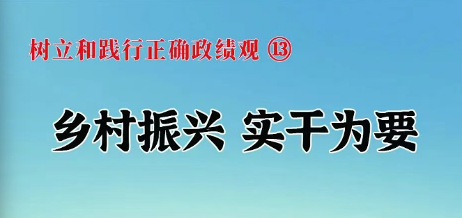 树立和践行正确政绩观⑬ 乡村振...