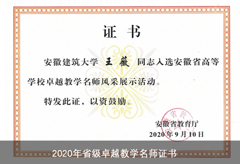 2020年省级卓越教学名师证书