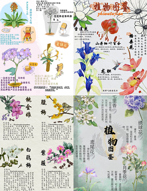 艺术学院举办艺起抗疫巧手绘秾植物图鉴制作活动